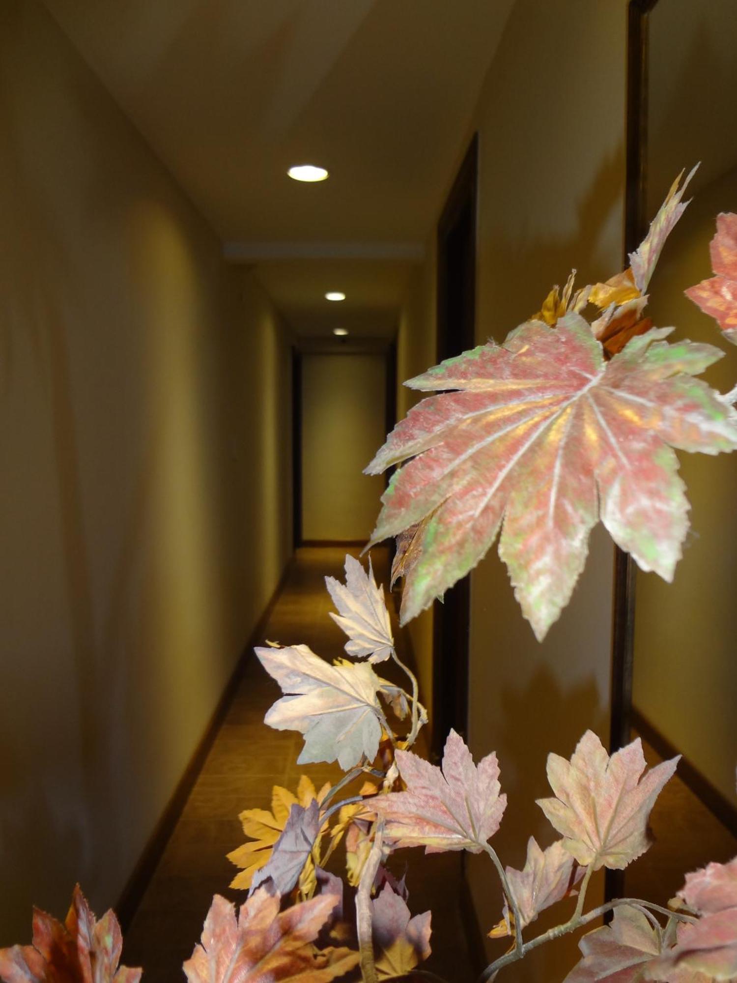 Hotel Select Mar del Plata Exterior photo